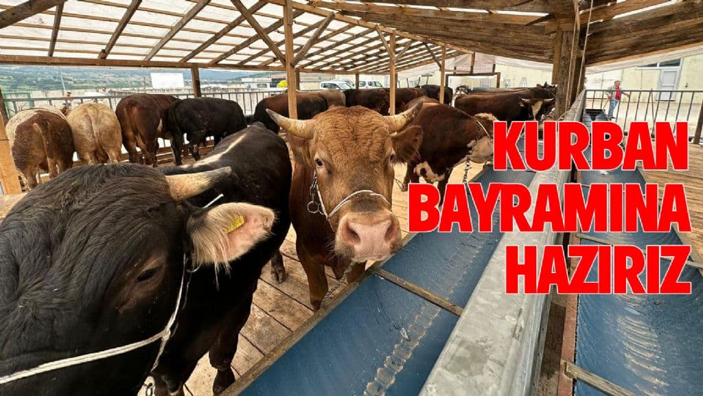 BELEDİYE KURBAN BAYRAMINA HAZIR
