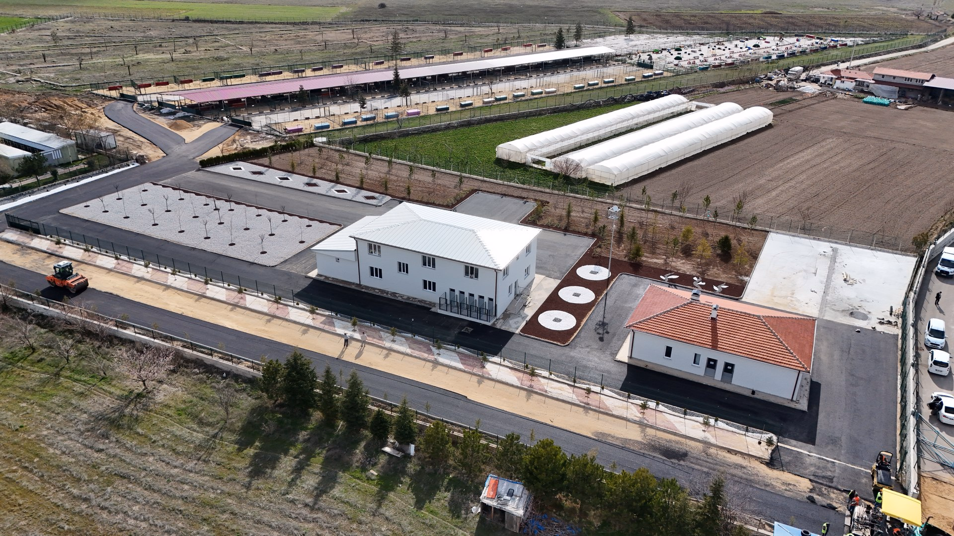 Sokak Hayvanları Bakım Ve Rehabilitasyon Merkezi