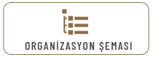 organizasyon semasi