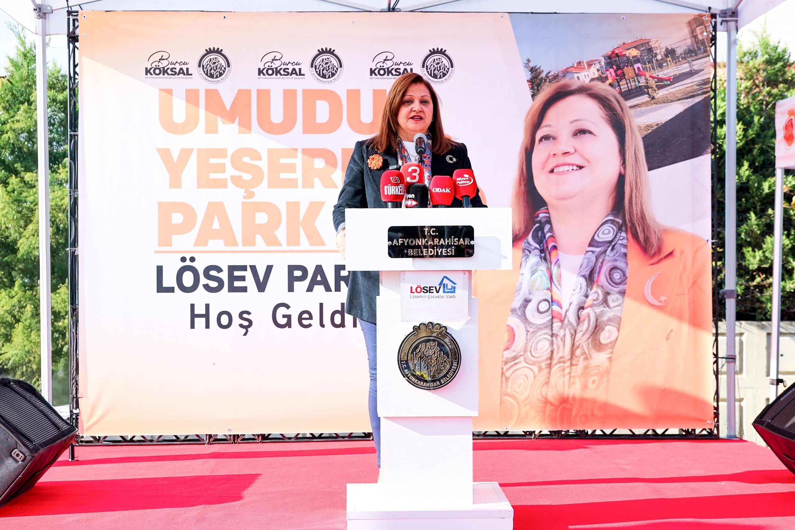 Losev Parki 003 0411 174826 14 1024 768 2025